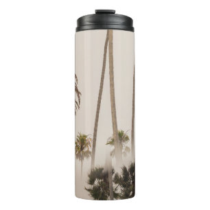 BOUTEILLES ISOTHERMES ARBRE DE COCOTIER