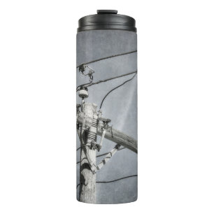 Bouteilles Isothermes Arme de croisement du pôle d'alimentation