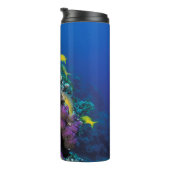 Bouteilles Isothermes Around Small Coral (Tourné sur la droite)