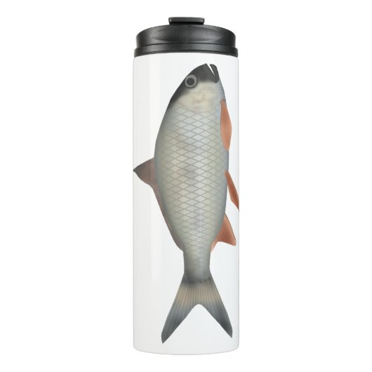 Bouteilles Isothermes Assamese Kingfish (Devant)