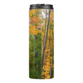 Bouteilles Isothermes Automne Maple Trees Automne Photographie de la nat (Dos)