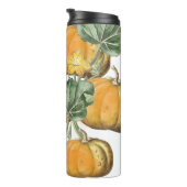 Bouteilles Isothermes Automne Vintage Citrouilles (Tourné sur la droite)