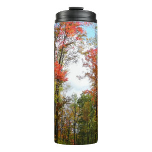 Bouteilles Isothermes Automnes Arbres et Ciel bleu Automne Photographie 