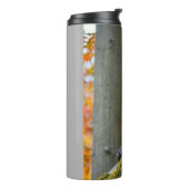 Bouteilles Isothermes Autumn Curiosity: Monkeys at the Zoo in Fall (Tourné sur la gauche)