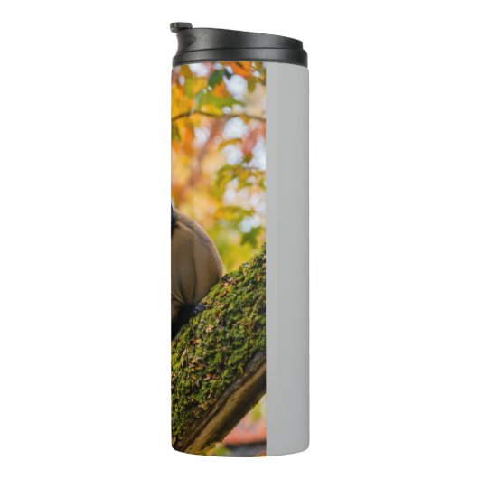 Bouteilles Isothermes Autumn Curiosity: Monkeys at the Zoo in Fall (Tourné sur la droite)