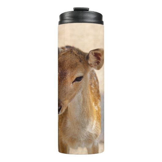 Bouteilles Isothermes Baby Deer (Devant)