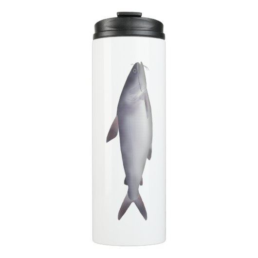 Bouteilles Isothermes Bagre de mer (Devant)