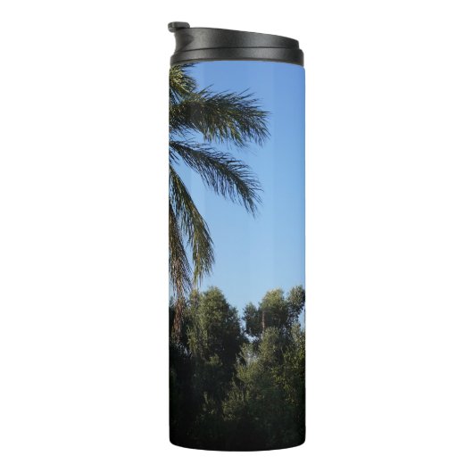 Bouteilles Isothermes Balayage d'un palmier sous un ciel clair (Tourné sur la droite)