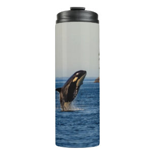 Bouteilles Isothermes Baleine tueuse qui atteint l'océan