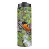 Bouteilles Isothermes Baltimore Oriole (Devant)