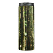 Bouteilles Isothermes Bambou Vert Avec Gravures Thaïlandaises (Dos)