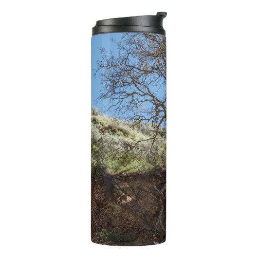 Bouteilles Isothermes Bare tree on mountain during day (Tourné sur la gauche)