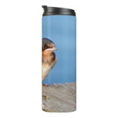 Bouteilles Isothermes Barre Swallow thermo tumbler (Tourné sur la droite)