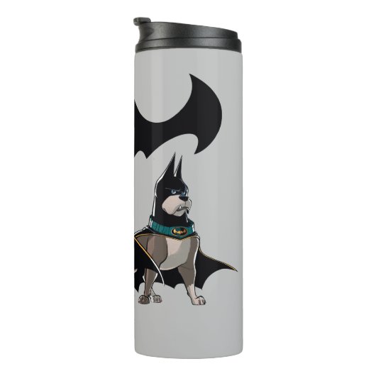 Bouteilles Isothermes Batman & Ace (Tourné sur la droite)