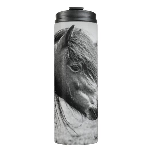 BOUTEILLES ISOTHERMES BEAU CHEVAL (Devant)