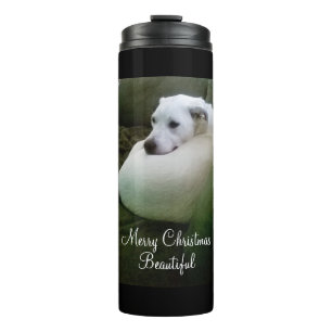 Bouteilles Isothermes Beau Chien Chiot Blanc Curled Up Christmas