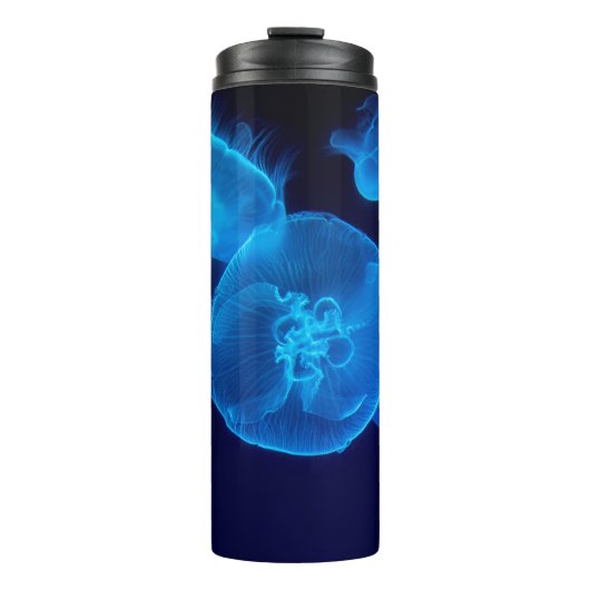 BOUTEILLES ISOTHERMES BEAU JELLYFISH (Devant)