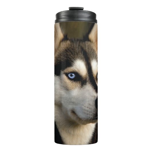 Bouteilles Isothermes Beau Oreiller Husky Lrow (Devant)