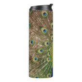 Bouteilles Isothermes Beau paon (Tourné sur la gauche)