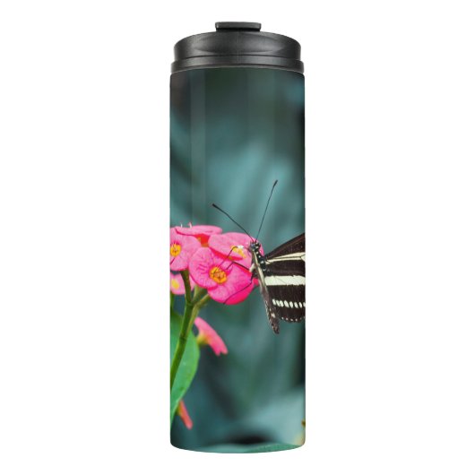 Bouteilles Isothermes Beau papillon (Devant)