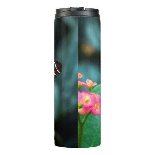 Bouteilles Isothermes Beau papillon (Dos)