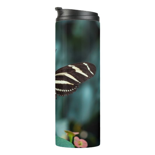 Bouteilles Isothermes Beau papillon (Tourné sur la droite)