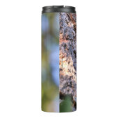 Bouteilles Isothermes Beau pic pilé sur l'arbre (Dos)