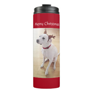 Bouteilles Isothermes Beau renne blanc Chien Chien Chien Chien Chien Noi