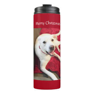 Bouteilles Isothermes Beau sourire blanc Chien Chien Chien Chien Noir Ro