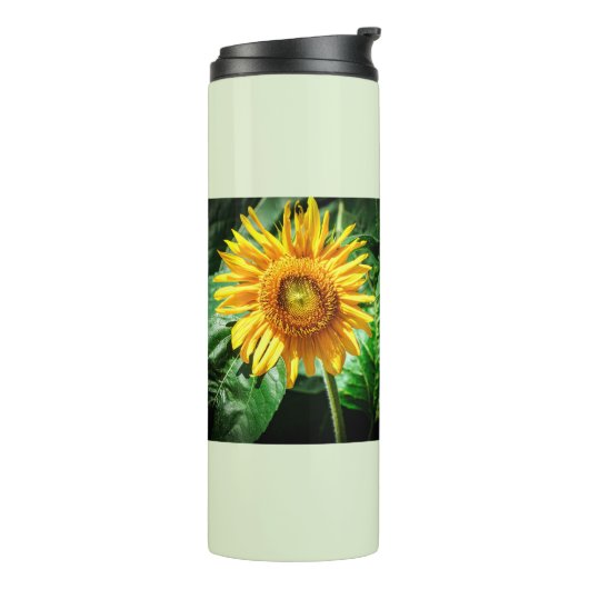 Bouteilles Isothermes Beauté Tournesol (Tourné sur la gauche)