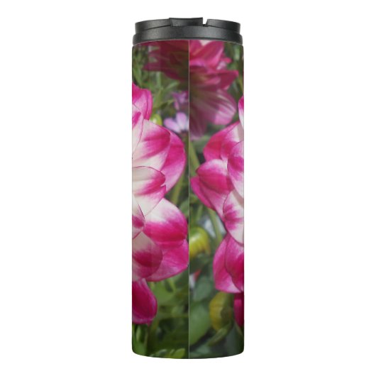 Bouteilles Isothermes Beaux (Dos)