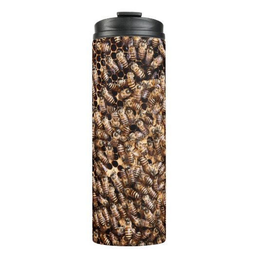 BOUTEILLES ISOTHERMES BEEHIVE (Devant)