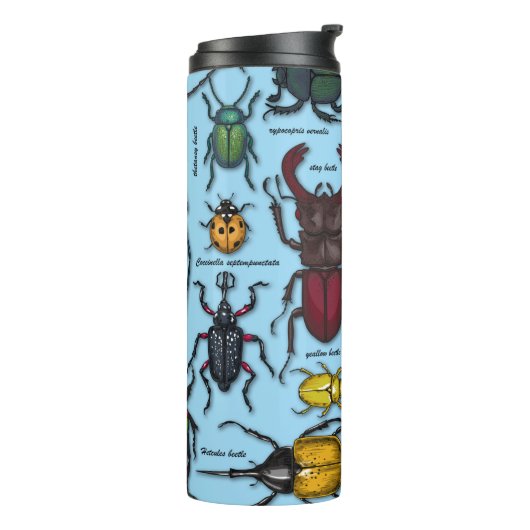 Bouteilles Isothermes Beetons sur bleu (Tourné sur la gauche)