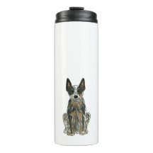 Blue Heeler, chien de chasse australien