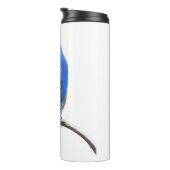 Bouteilles Isothermes Bluebird (Tourné sur la droite)