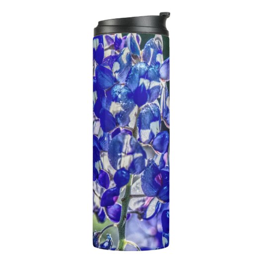 Bouteilles Isothermes Bluebonnet (Tourné sur la gauche)