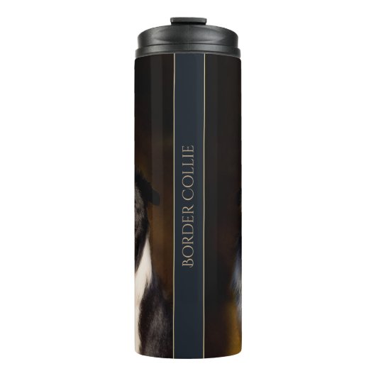 Bouteilles Isothermes Border collie (Devant)