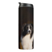 Bouteilles Isothermes Border collie (Tourné sur la droite)