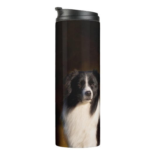 Bouteilles Isothermes Border collie (Tourné sur la droite)