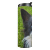 Bouteilles Isothermes Bordure Collie (Tourné sur la gauche)