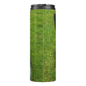 Bouteilles Isothermes Bordure Collie (Dos)