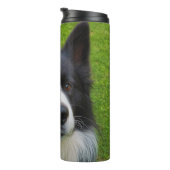 Bouteilles Isothermes Bordure Collie (Tourné sur la droite)
