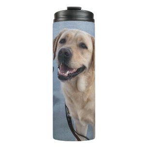 Bouteilles Isothermes Bouge thermique Dudley avec empreintes de pattes