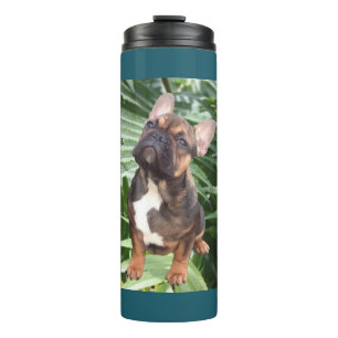 Bouteilles Isothermes Bouledogue français Fleurs Bouledogue français