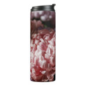 Bouteilles Isothermes Bouquet d'aster rose : éclairage baroque. (Tourné sur la gauche)