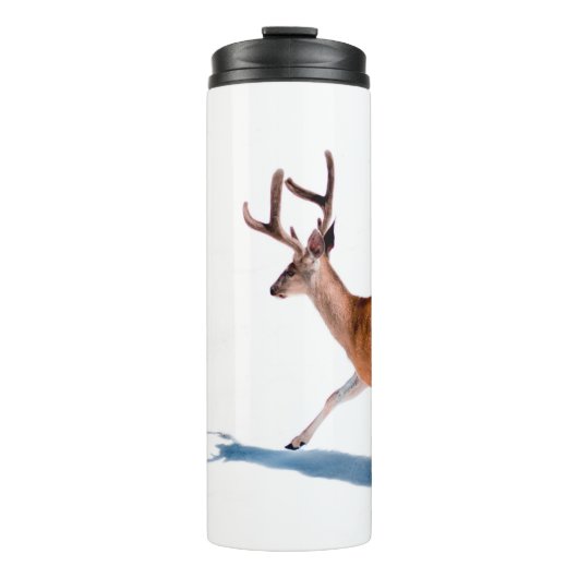 BOUTEILLES ISOTHERMES BROWN DEER SUR ARRIÈRE - PLAN BLANC (Devant)