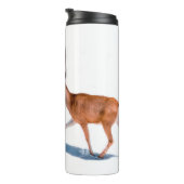 BOUTEILLES ISOTHERMES BROWN DEER SUR ARRIÈRE - PLAN BLANC (Tourné sur la droite)