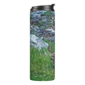 Bouteilles Isothermes Buck de lit (Tourné sur la gauche)