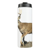 Bouteilles Isothermes Buck White Tailed (Devant)
