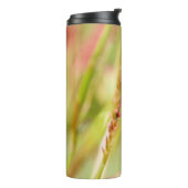 Bouteilles Isothermes buisson de couleur (Tourné sur la gauche)